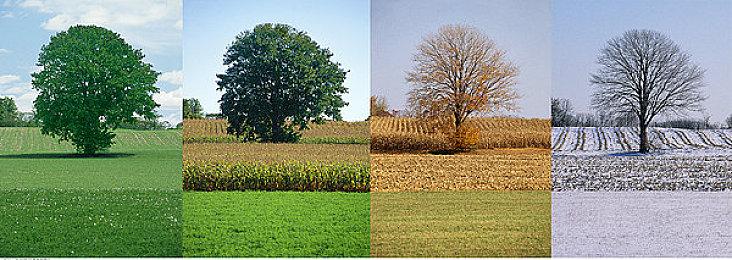 9月11日 锁定育碧前瞻会