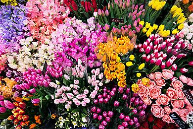 传闻：索尼将于今夏举办新PS Showcase发布会